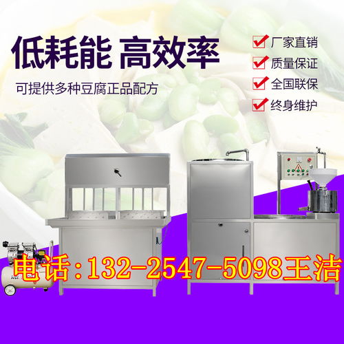 甘肅臨夏全自動豆腐機 技術賦能讓鹵水豆腐產能質變